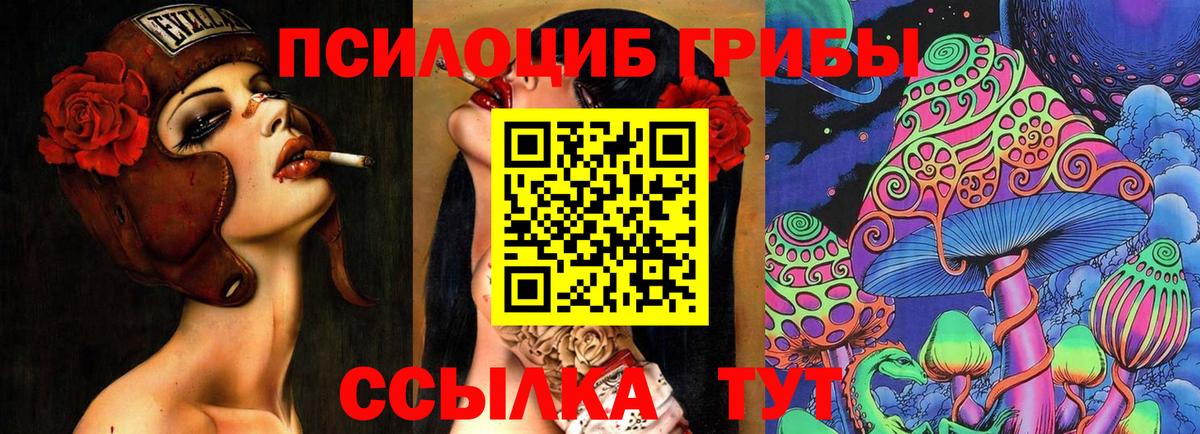 Галлюциногенные грибы Psilocybine cubensis Вологда